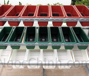 Kệ trồng rau sạch - 12