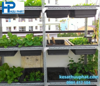 Kệ trồng rau sạch - 14